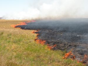 카자흐스탄 코스타나이주의 초원 화재