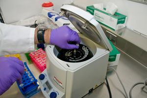 소형 실험실 원심분리기에 놓인 샘플들