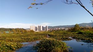 얼하이 호숫가의 다리 시가 풍경