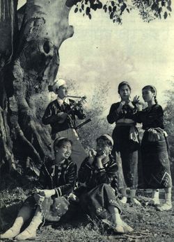 1962년 징포족 가수