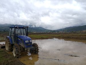 망해진 근처 논