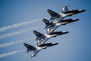 2016년 주한미군 오산 공군기지에서 열린 공군력의 날 행사에서 공연하는 블랙이글스