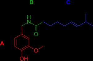 캡사이신 분자 구조