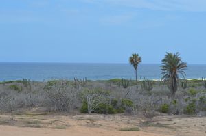 란초 푼타 산 크리스토발의 사막과 바다, 로스카보스