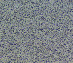 CD의 핏은 폭 500nm, 길이 830nm~3000nm, 깊이 150nm이다.