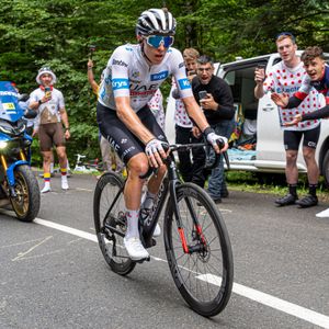 2023 투르 드 프랑스에서의 포가차르