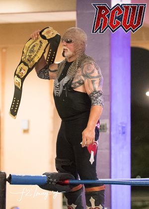 2018년의 스콧 스타이너