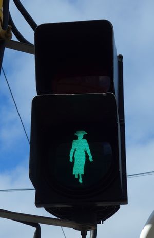 웰링턴 의사당 외부 보행자 신호등에 나타난 셰퍼드의 모습