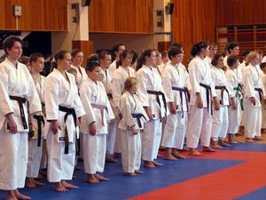 다양한 색상의 띠를 착용한 도장의 가라테 수련자들