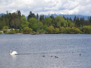 로스트 라군(Lost Lagoon)은 캐프틴 핸스컴 장면 촬영 장소로 사용되었다.