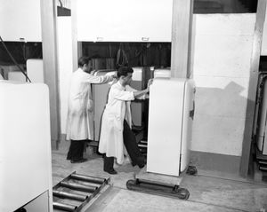 1950년대경 프랑스의 냉장고 생산