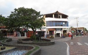 찰스 다윈 애비뉴