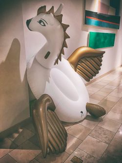 페가수스 물놀이 장난감