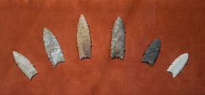 클로비스 문화 창끝, 클리블랜드 자연사 박물관