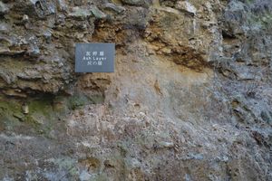 저우커우뎬의 재층