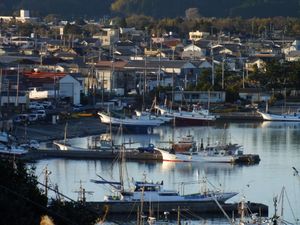 오하라 어항, 하치만미사키・고하마 하치만 신사에서