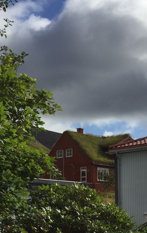 클락스비크의 잔디 지붕 집