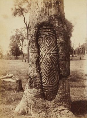 무덤 주변의 나무들은 무덤을 향하도록 조각되었다. 약 1889~1894년