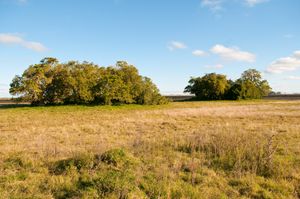 로차주(Rocha Department), 우루과이(Uruguay)의 세리토스(Cerritos)