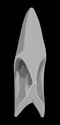 도싯 평행 작살촉: 도싯 문화에서 가장 흔한 것 중 하나