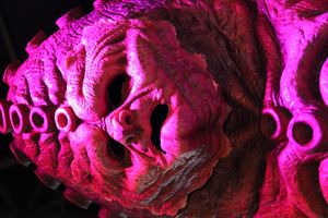 자이곤 의상과 특수 분장