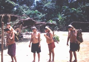 베네수엘라의 야노마미족 여성