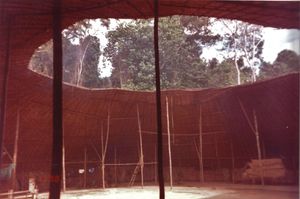 중앙 공동 공간 주변에 각 가족을 위한 별도의 구역이 있는 원형 구조를 보여주는 야노마미족 샤보노 내부