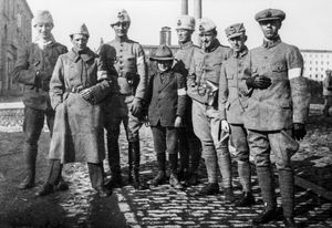 스웨덴 자원병들