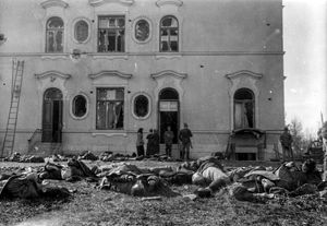 네실린나 궁전(Näsilinna Palace) 동쪽 끝에서 사망한 적군 병사들