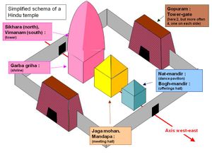 코빌을 단순화하여 보여주는 그림