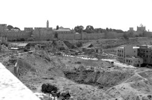 주로 빈 땅. [[예루살렘 구시가지|구시가지]] 성벽 근처, [[성모 승천 수도원]](오른쪽 끝), [[다윗의 탑]](왼쪽 중앙).