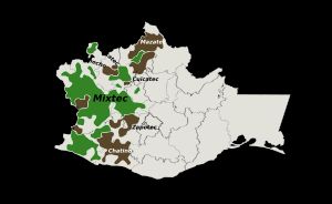 오아하카주 내의 미슈텍어파 언어들(초록)과 트리키어, 퀴카텍어, 아무스고어 등 이웃 언어들