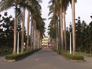 국립 핑둥 대학교