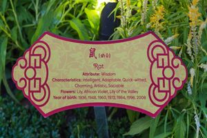 2016년 싱가포르의 가든스 바이 더 베이