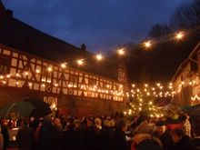 호프구트 헤르만슈타인