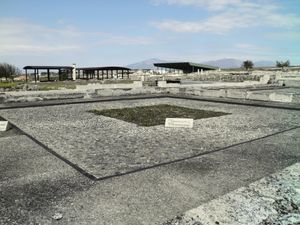 디오니소스의 집 (기원전 325~300년) 내부의 디오니소스 모자이크