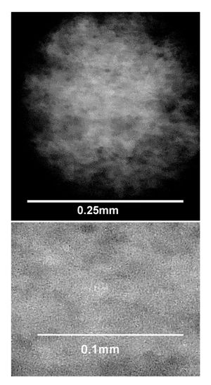 현미경으로 본 표백되지 않은 투과형 홀로그램의 작은 부분. 홀로그램에는 장난감 밴과 자동차의 이미지가 기록되었다. 이 패턴에서 홀로그램의 피사체를 식별하는 것은 CD 표면을 보고 어떤 음악이 기록되었는지 확인하는 것만큼이나 불가능하다. 홀로그램 정보는 스페클 패턴에 의해 기록된다.