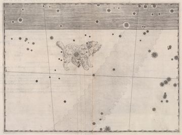 요한 바이어의 『우라노메트리아』(1603년)에 그려진 작은개자리