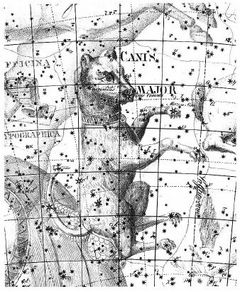 우라노그라피아(1801년)의 큰개자리