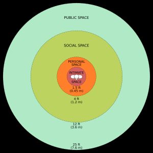 에드워드 T. 홀(Edward T. Hall)이 제시한 인간의 대인 거리를 나타낸 차트. 반경을 피트와 미터로 표시함