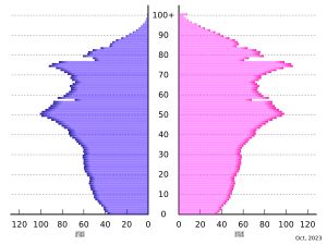 일본의 인구 피라미드