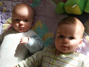 성격 연구는 쌍둥이 연구를 사용하여 빅 파이브 성격 특성에 유전적 요인과 환경적 요인이 얼마나 기여하는지 결정한다.