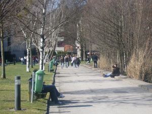 연못 옆 산책로를 걷는 JKU 학생들