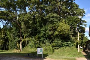 하고로, 사카이 다다쓰구가 나가요시와 격돌한 장소