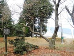 마쓰오산에 있는 세키가하라 전투의 고바야카와 히데아키 진영 터(기후현 후와군 세키가하라정)