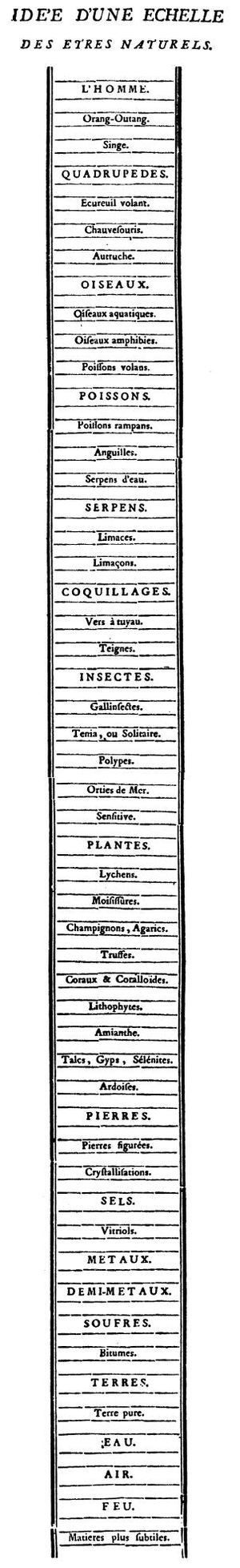 샤를 보네의 존재의 대사슬(1745년, 곤충학 논고)