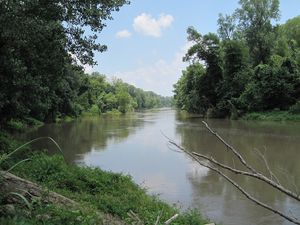 테네시/아칸소 주 경계 근처 레버리의 옛 강바닥을 따라 본 모습(2007)