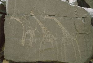 니제르 아나콤의 사하라 암각화