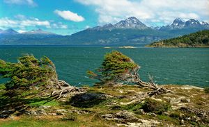 가시나무, 에스탄시아 하버턴(1997)