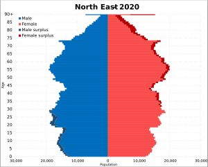 2020년 노스이스트잉글랜드 인구 피라미드